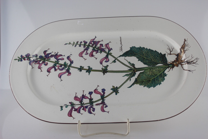Fleischplatte - Villeroy & Boch - Botanica