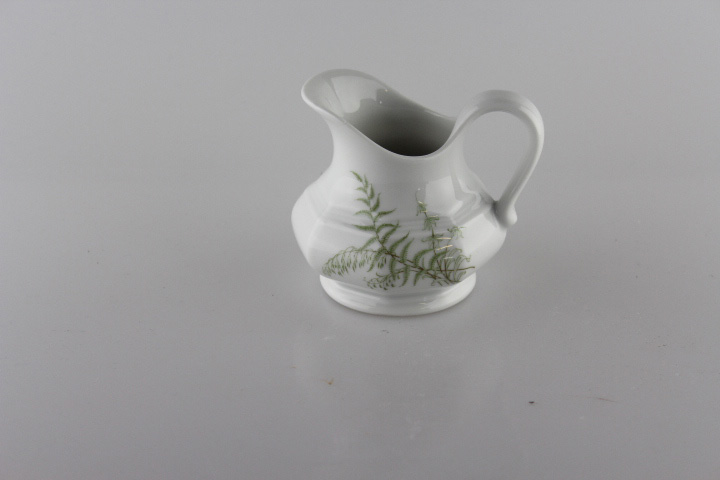 Sahnekännchen - Gallo - Leonardo - Sommerfarn