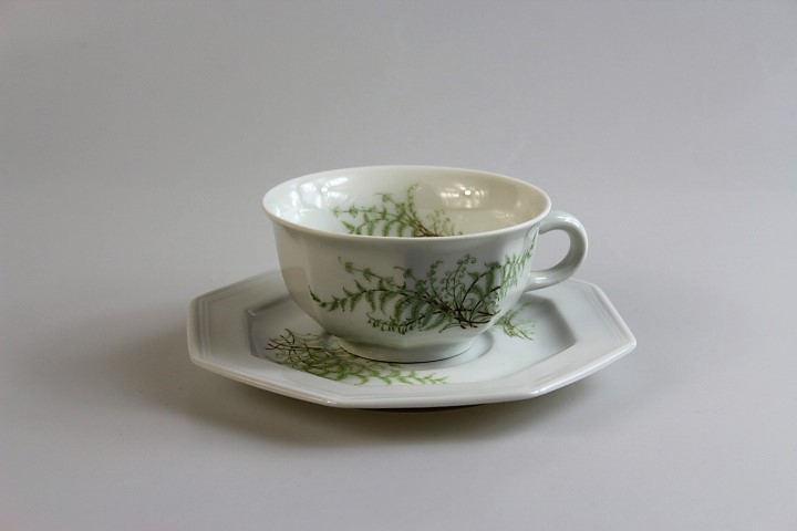 Teetasse 2 tlg. - Gallo - Leonardo - Sommerfarn