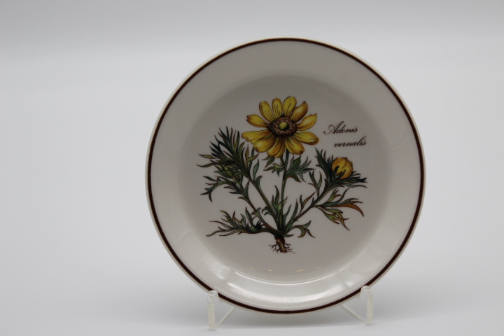 Gebäcktellerchen Ø 14 cm - Villeroy & Boch - Botanica