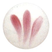 2017 - Rosenpurpur - 3g