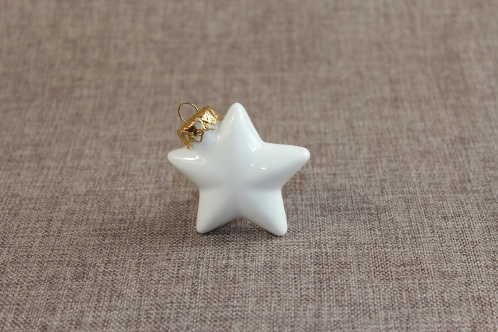 W890 - Anhänger Stern