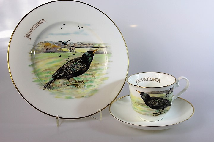 Kaffeegedeck 3 tlg. - Heinrich/V&B - Galleria Ceramica - November