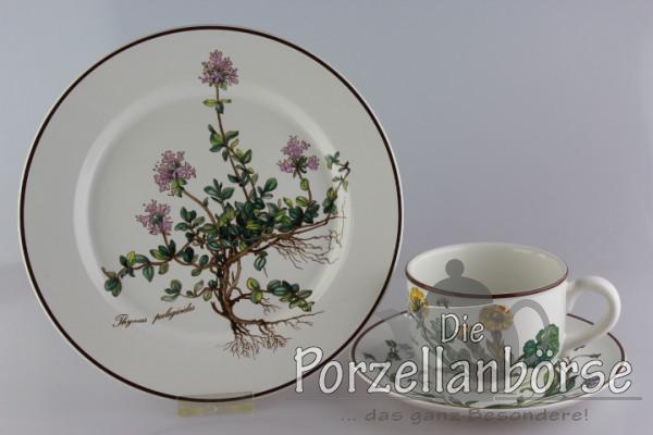 Teegedeck 3 tlg. (mit Wurzel) - Villeroy & Boch - Botanica